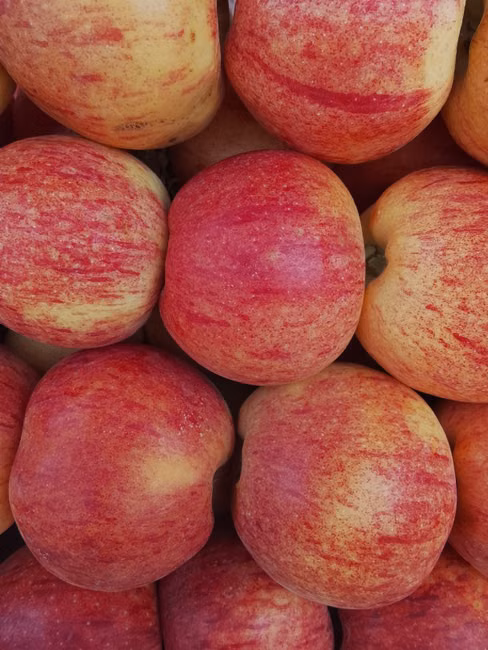Hortifruti