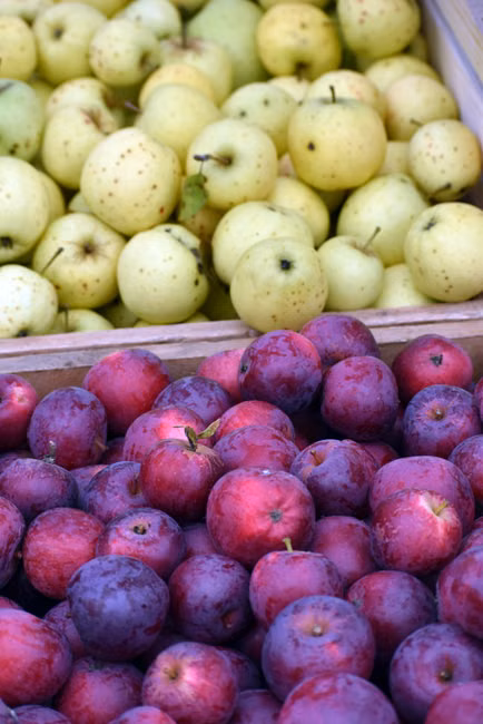 Farinha de Trigo (1kg)